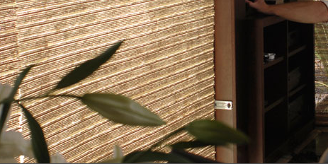 nivo slider image