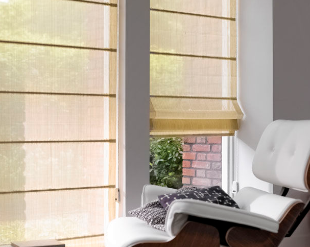 nivo slider image
