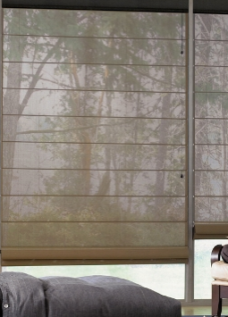 nivo slider image